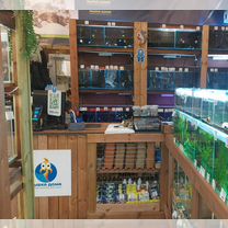 Аквариумные рыбки в магазине Кантемировская, Москва