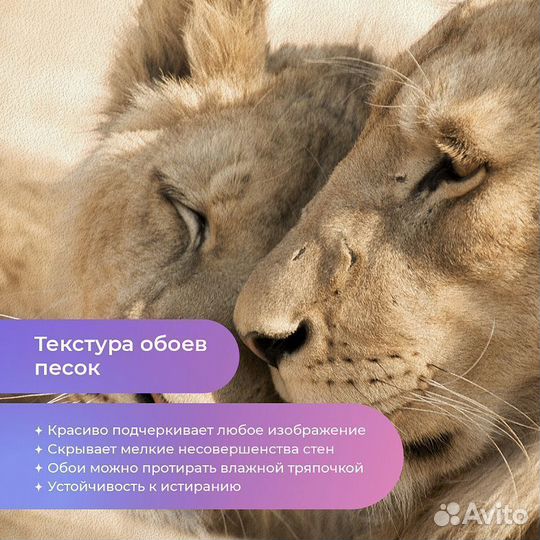 Дизайнерские фотообои 