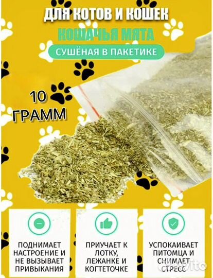 Кошачья мята