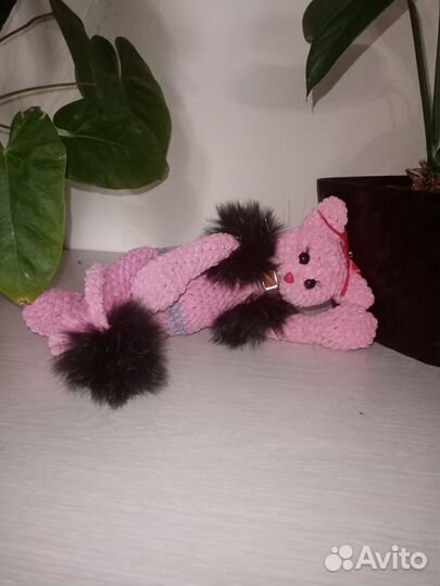 Кошечка Мэри