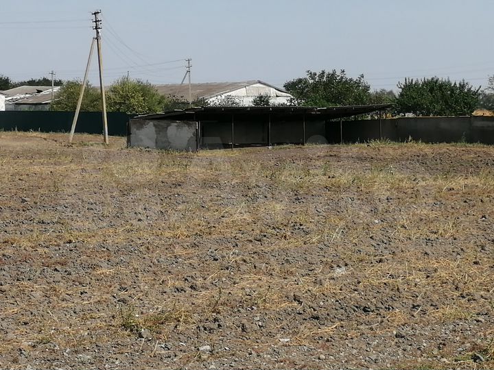 Молочная ферма 90голов