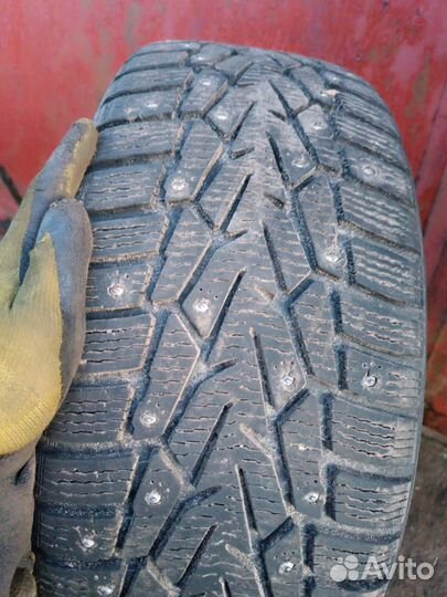 Nordman 7 215/60 R16 99