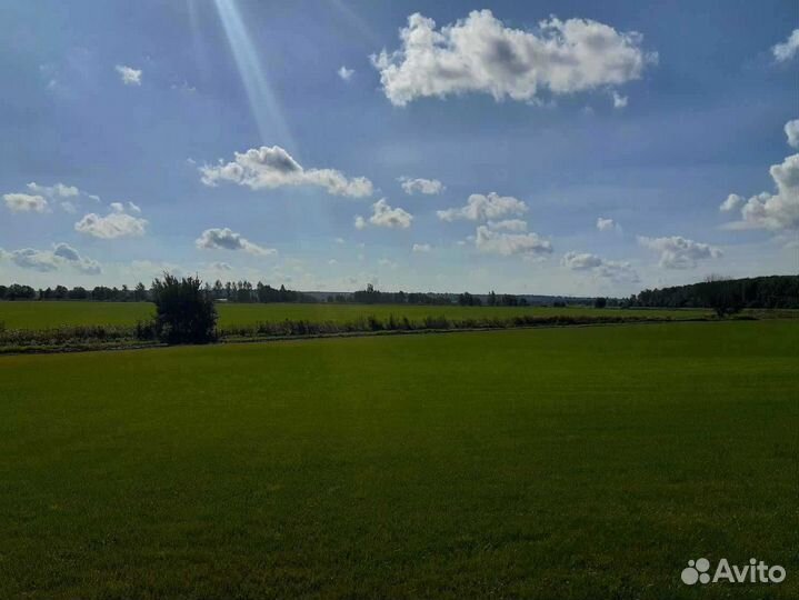 Укладка рулонного газона