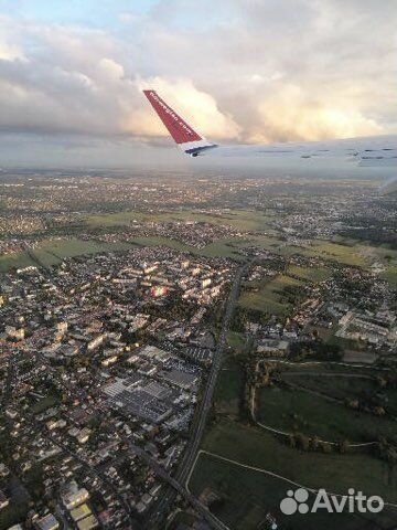 Репетитор по английскому языку для детей
