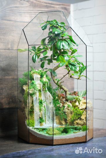 Флорариум с бонсай и водопадами