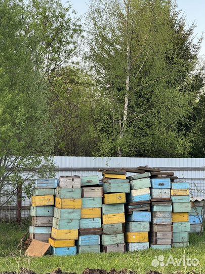 Магазины 10-рамочные