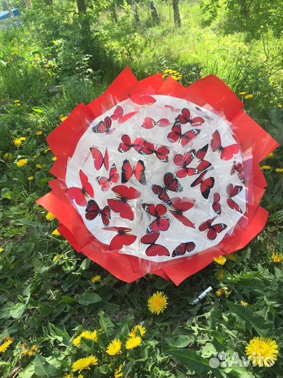 Светящийся букет из 31 бабочки