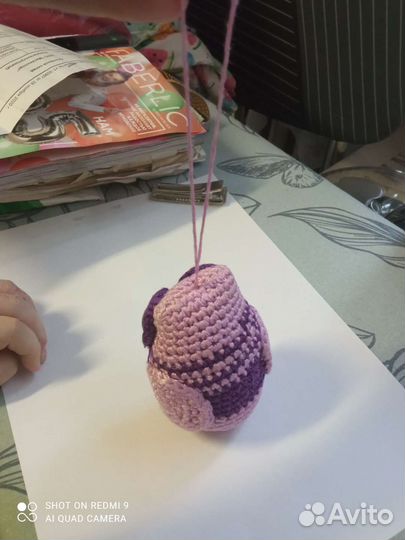 Сова в машину