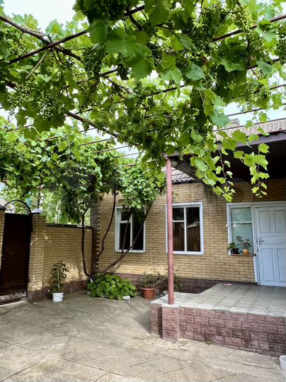 Дом 48 м² на участке 8,3 сот.