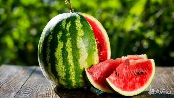Семена арбуза