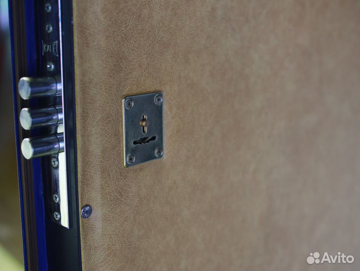 Дверь входная металлическая