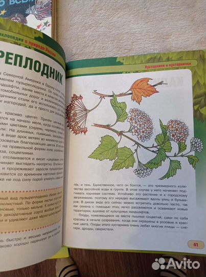 Книги пакетом для детей