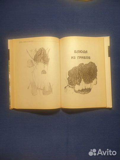 Книга Все о грибах справочник