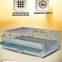 Клетка для перепелов на 30 голов (кп-30), Солнечногорск
