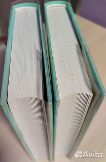 Анатолий Жаренов; Александр Полещук; Игорь Дручин