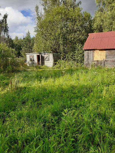 Участок 11 сот. (СНТ, ДНП)
