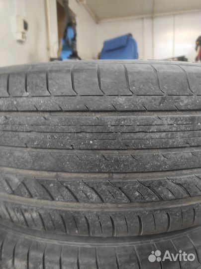 Toyo Proxes 1 205/55 R16