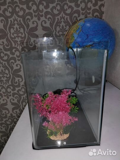 Аквариум