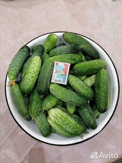 Помидоры и огурцы домашние