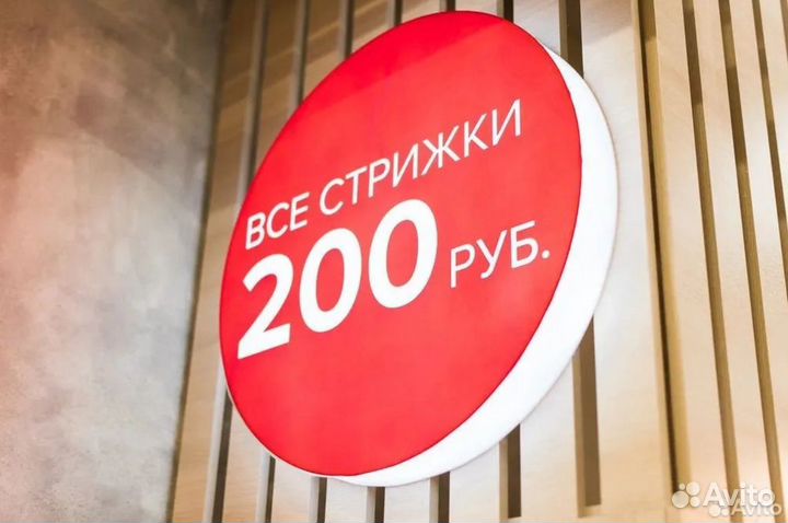 Вложитесь в рост и станьте частью успеха с чио чио