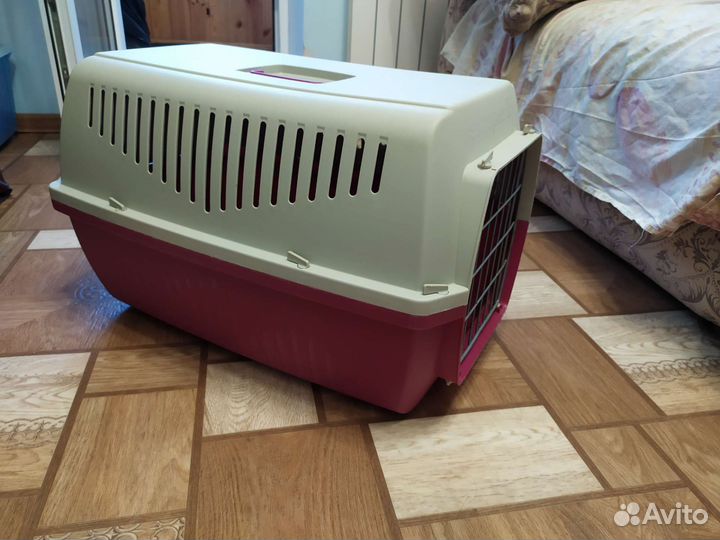 Переноска большая в Аренду