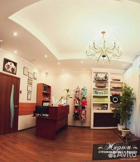 Продается зоосалон (груминг салон)