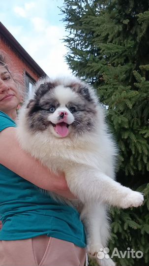 Мальчик красавчик