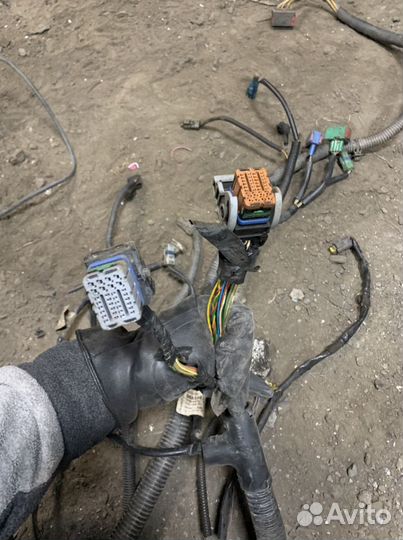 Коса эбу Peugeot 206