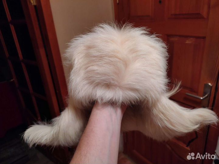 Мужская шапка зимняя