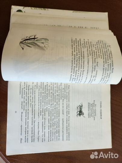 Книга Необыкновенные приключения Карика и Вали