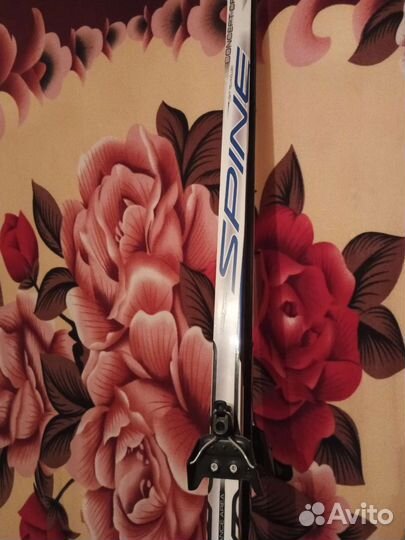Лыжи spine 190см
