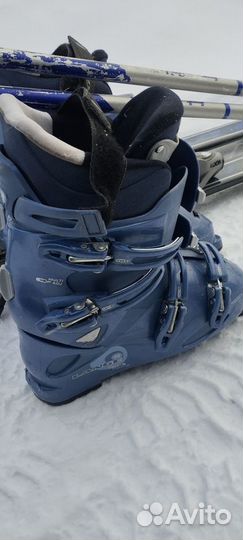 Горные лыжи