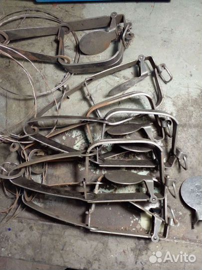 Ловушки для грызунов