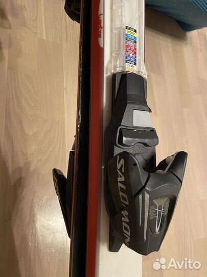 Горные лыжи