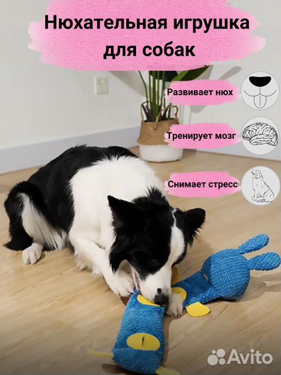 Перетяжка для собак/Нюхательная игрушка для собак