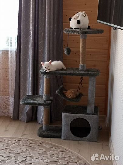 Домик для кошки с когтеточкой