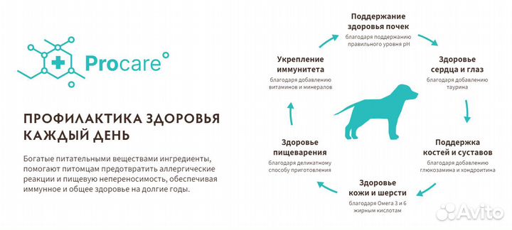 Корма для животных
