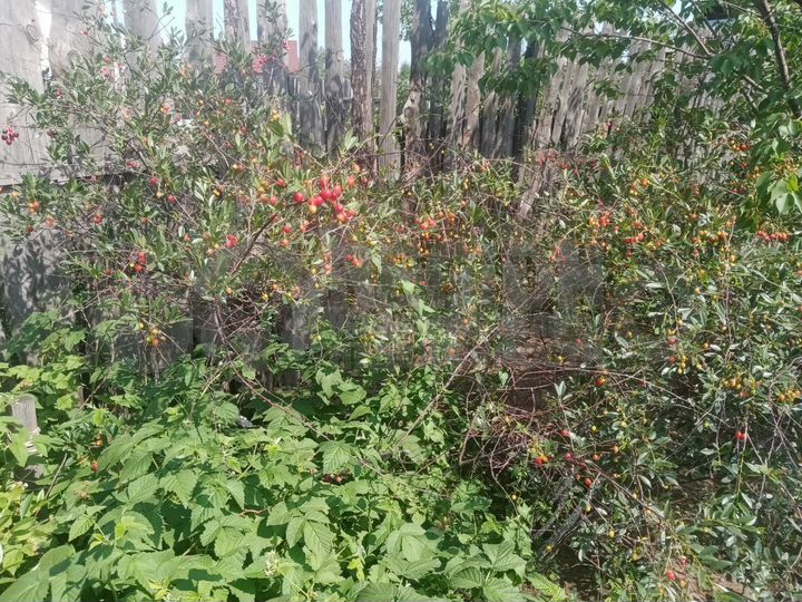 Дом 138,9 м² на участке 10 сот.