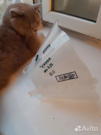 Воротник для животных