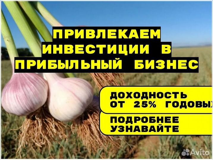 Готовый бизнес инвестиции