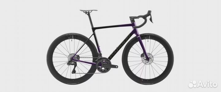 Pardus Robin EVO Disc Shimano Ultegra Di2