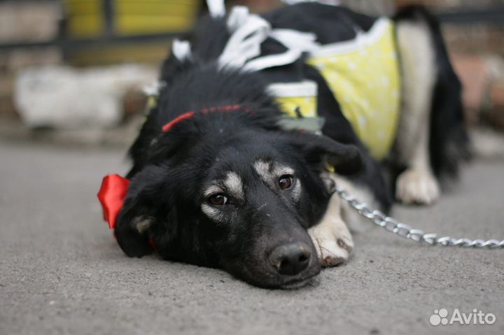 Принцесса, 10 месяцев
