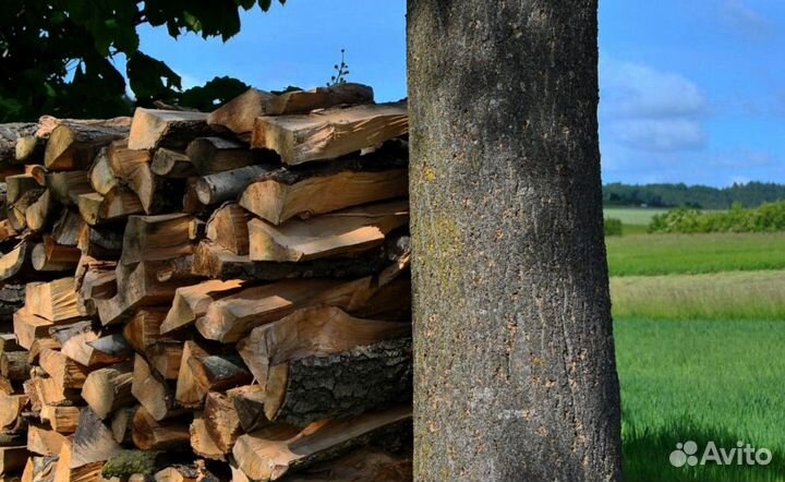 Дрова рядом