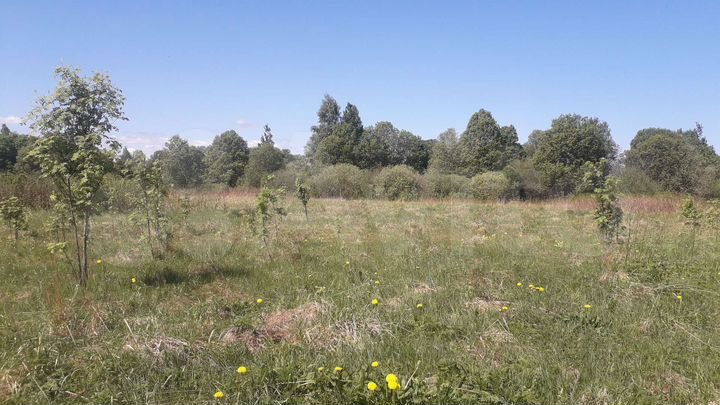 Участок 15 сот. (ИЖС)