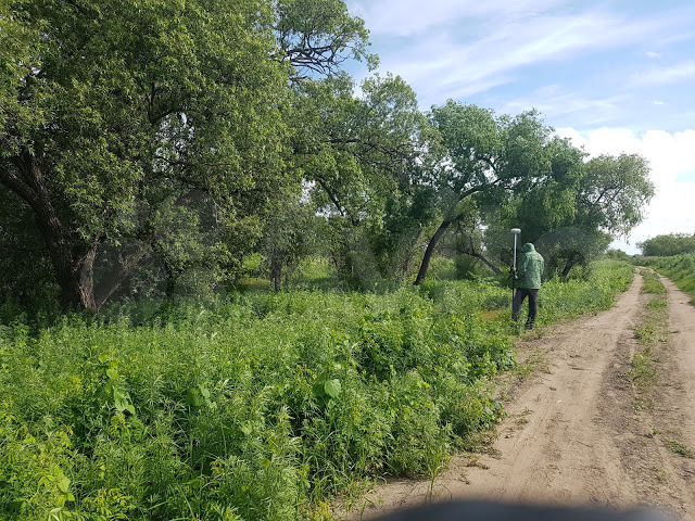 Участок 20 сот. (ИЖС)