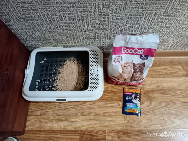 Лоток, наполнитель