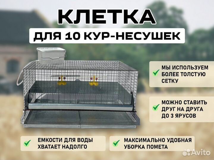 Клетки для кур несушек