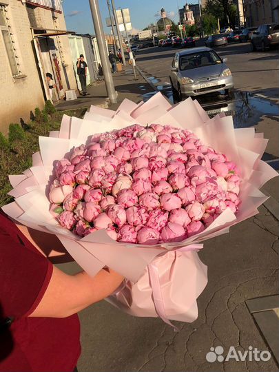 101шт Пион/ розы/ гипсофила/ Букет/ цветы