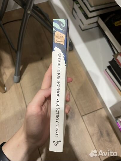 Загадочное ночное убийство собаки