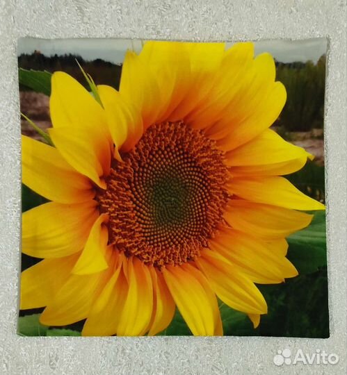 Чехол на подушку